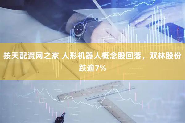 按天配资网之家 人形机器人概念股回落，双林股份跌逾7%