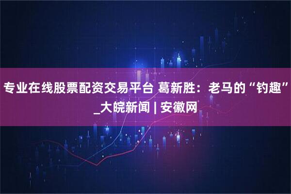 专业在线股票配资交易平台 葛新胜：老马的“钓趣”_大皖新闻 | 安徽网