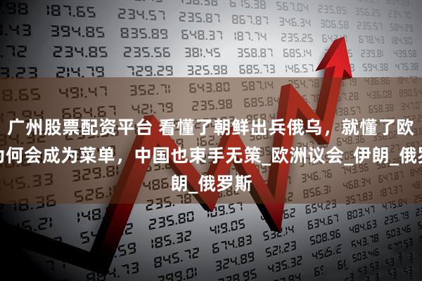 广州股票配资平台 看懂了朝鲜出兵俄乌，就懂了欧盟为何会成为菜单，中国也束手无策_欧洲议会_伊朗_俄罗斯