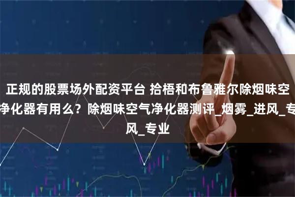 正规的股票场外配资平台 拾梧和布鲁雅尔除烟味空气净化器有用么？除烟味空气净化器测评_烟雾_进风_专业