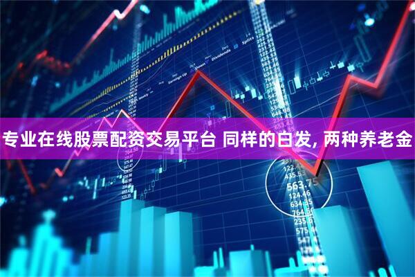 专业在线股票配资交易平台 同样的白发, 两种养老金