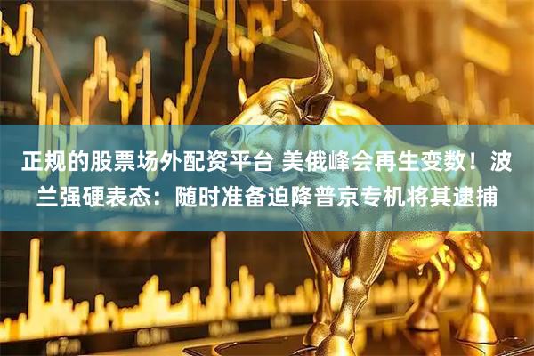 正规的股票场外配资平台 美俄峰会再生变数！波兰强硬表态：随时准备迫降普京专机将其逮捕