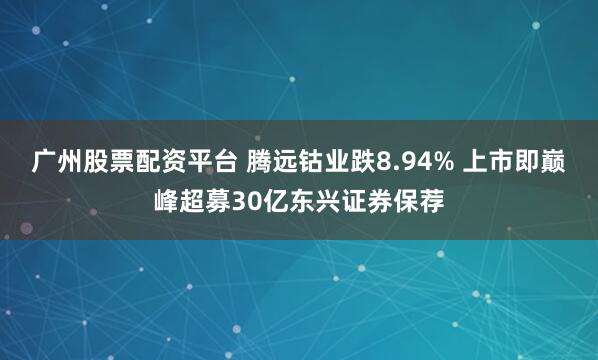 广州股票配资平台 腾远钴业跌8.94% 上市即巅峰超募30亿东兴证券保荐