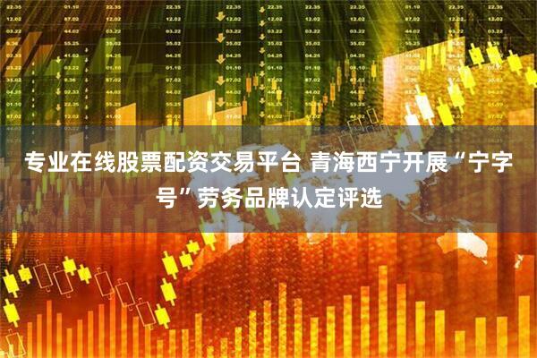 专业在线股票配资交易平台 青海西宁开展“宁字号”劳务品牌认定评选